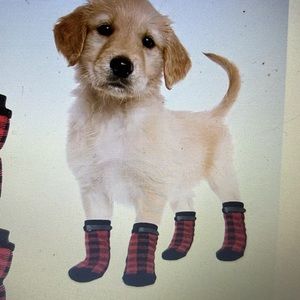 Doggie socks